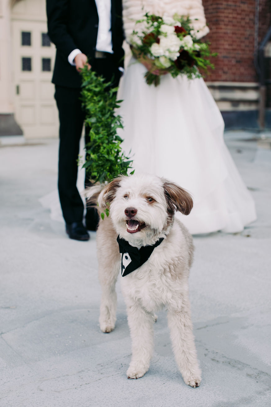 ELISE+MATT_0243.jpg
